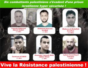 Rassemblement pour la libération de tous les prisonniers Palestinien.es @ Metro Capitole